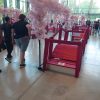 Les toujours si beaux décors de la Japan Les toujours si beaux décors de la Japan