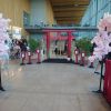 Les toujours si beaux décors de la Japan Les toujours si beaux décors de la Japan